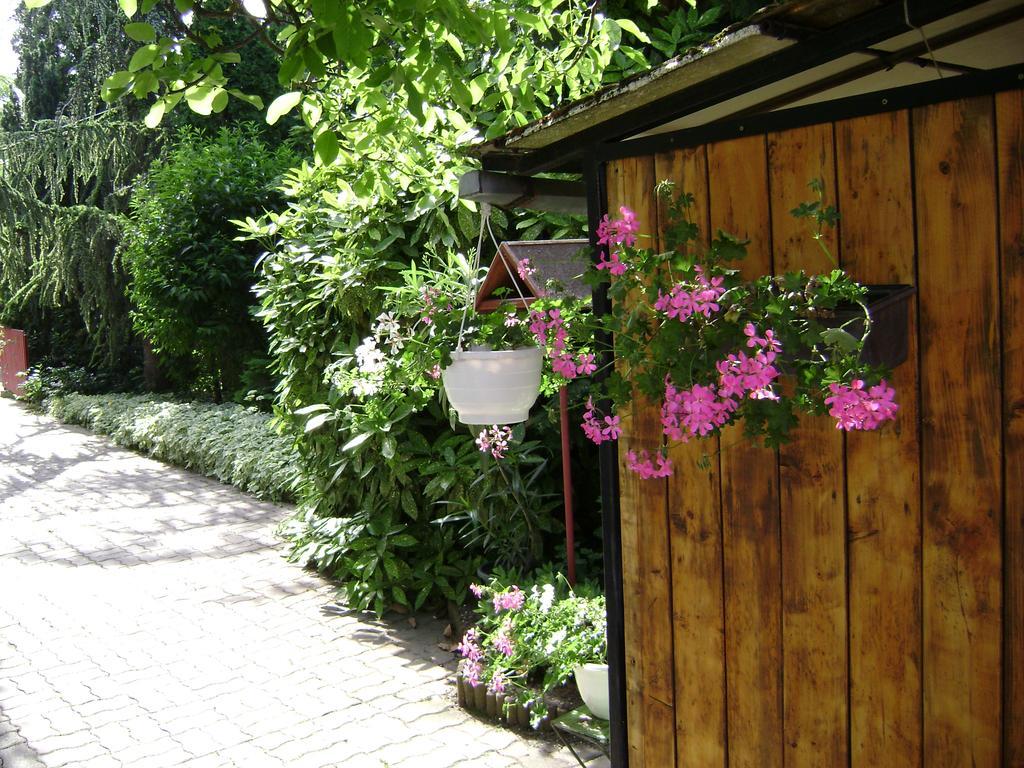 Muskatli Vendeghaz Bed & Breakfast Heviz Exterior photo